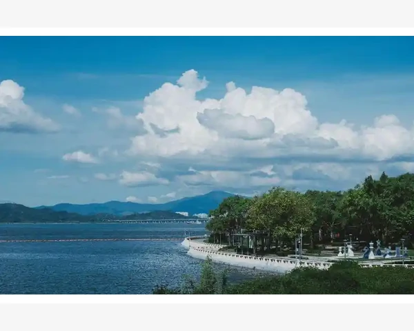 补肝脾胃肾汤的配方与用量全解