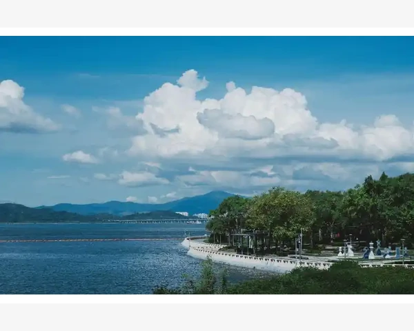 儿童脾胃不好的稀饭煮法指南
